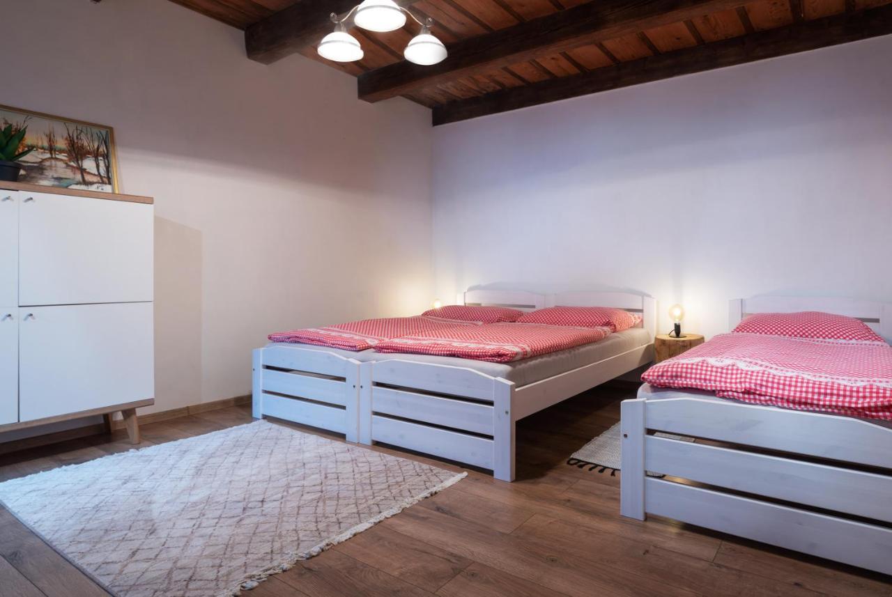 V Chate Besnik Apartment Telgart